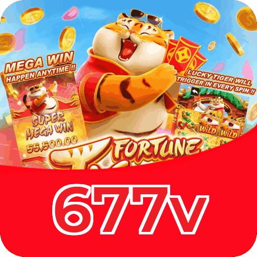 Recursos de Segurança da Plataforma - SSL, Firewall, Criptografia